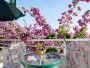 Apartman Fabri 2