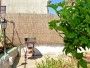 Apartman Aurelija 2